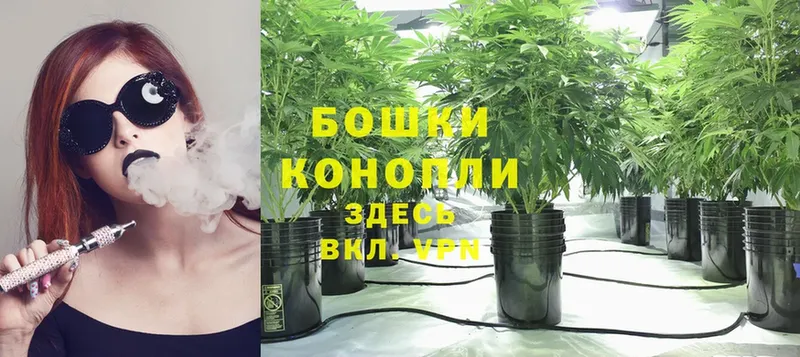 наркошоп  Десногорск  МАРИХУАНА Ganja 